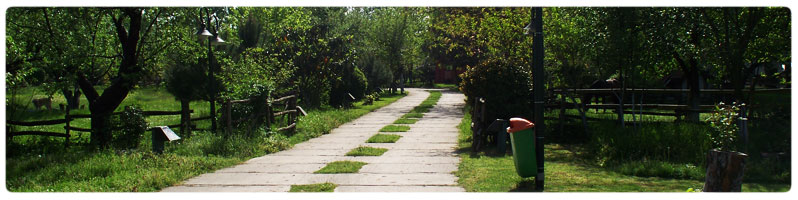 iletisim