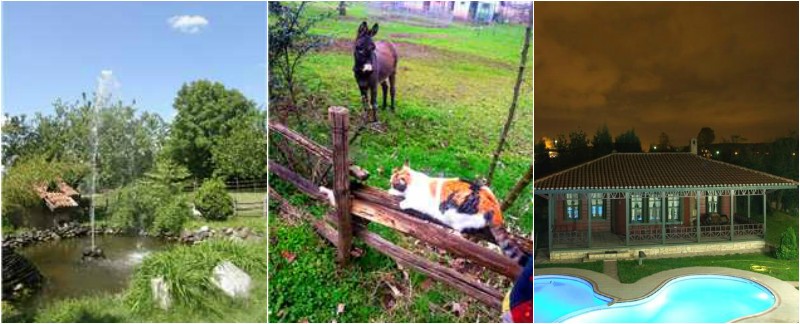 GrandMas Farm | Büyükannenin Çiftliği