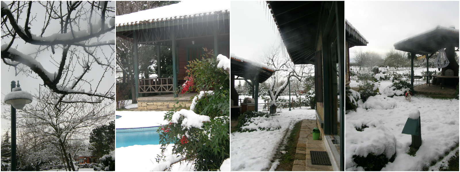 snowkolaj2y