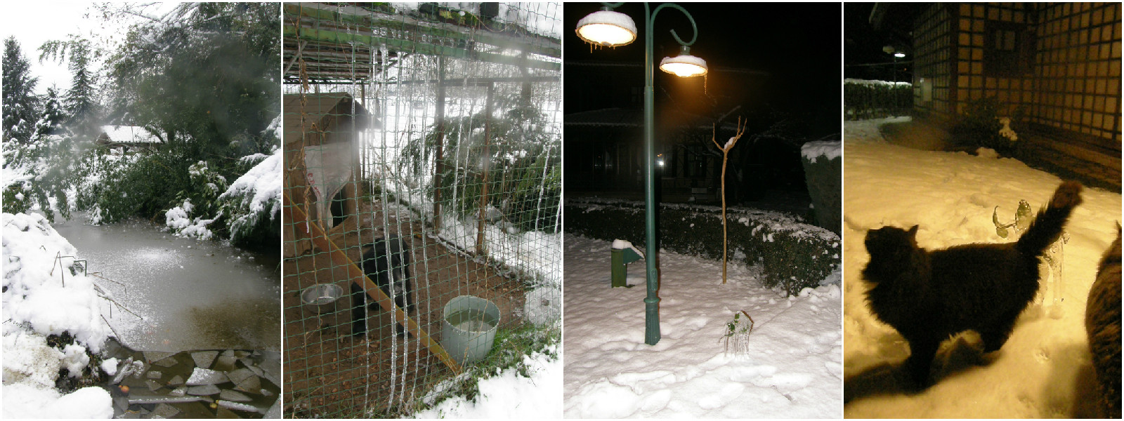 snowkolaj3y