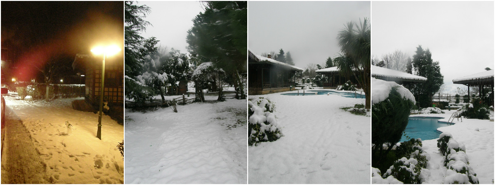 snowkolaj4y