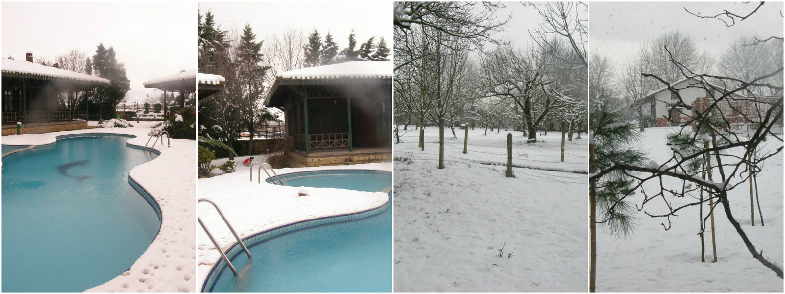 snowkolaj6y